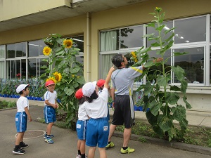 IMG_1569 IMG_1569