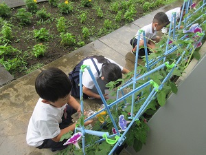 IMG_1579 IMG_1579