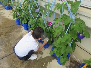 IMG_1580 IMG_1580
