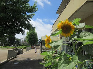 IMG_1595 IMG_1595