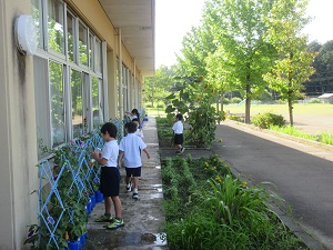 IMG_1601 IMG_1601