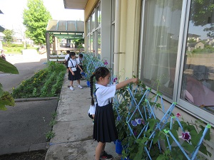 IMG_1600 IMG_1600