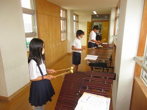 IMG_1585 IMG_1585