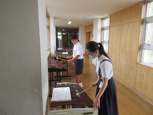 IMG_1586 IMG_1586
