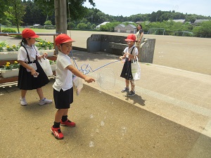 IMG_1603 IMG_1603