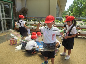 IMG_1605 IMG_1605