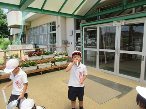 IMG_1610 IMG_1610