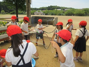IMG_1612 IMG_1612