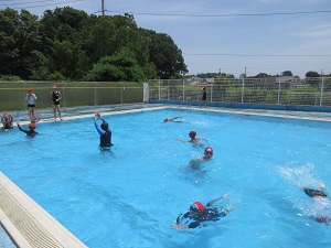 IMG_1617 IMG_1617