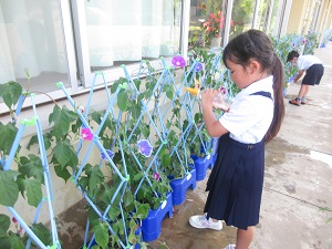 IMG_1624 IMG_1624