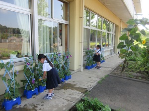 IMG_1625 IMG_1625