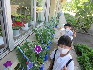 IMG_1644 IMG_1644