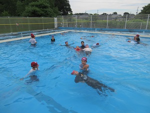IMG_1666 IMG_1666