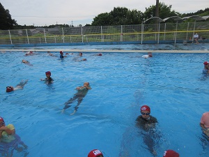 IMG_1667 IMG_1667