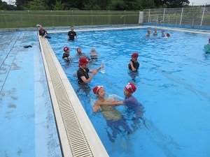 IMG_1684 IMG_1684