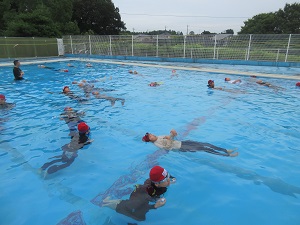 IMG_1685 IMG_1685