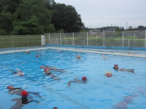 IMG_1687 IMG_1687