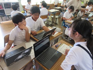 IMG_1716 IMG_1716