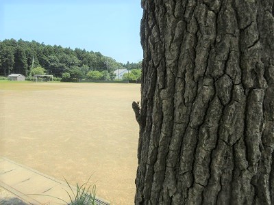 IMG_1803 IMG_1803