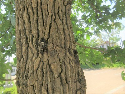 IMG_1807 IMG_1807