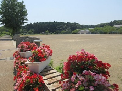 IMG_1812 IMG_1812