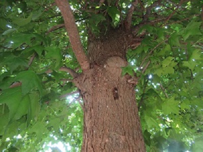 IMG_1813 IMG_1813