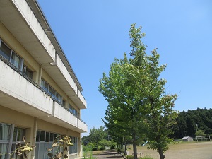 IMG_1519