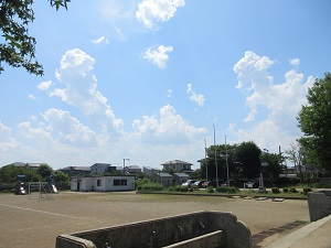 IMG_1521