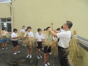 IMG_2012