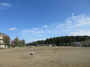 IMG_2521