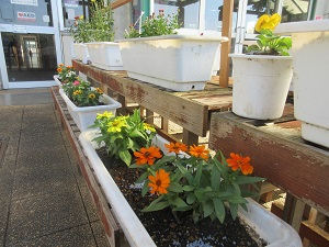 IMG_2525