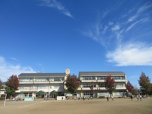 IMG_2705