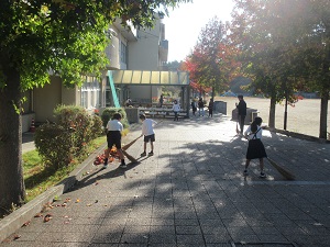 IMG_2927