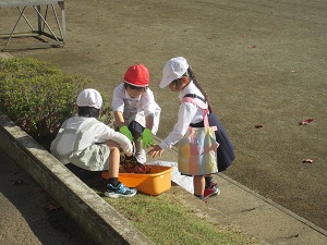 IMG_2950