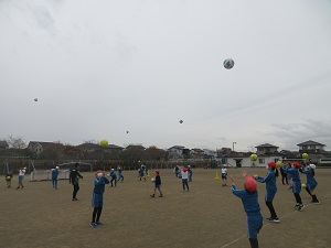IMG_3429 IMG_3429