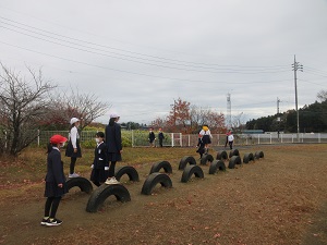 IMG_3445 IMG_3445