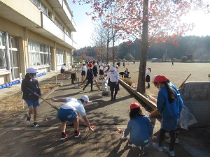 IMG_3494 IMG_3494