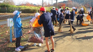 IMG_3507 IMG_3507