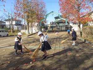IMG_3530 IMG_3530