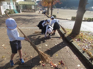 IMG_3542 IMG_3542
