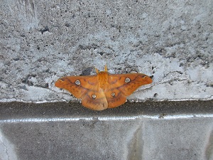 IMG_3512 IMG_3512