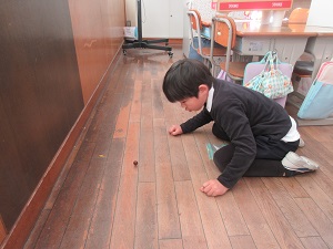 IMG_3558 IMG_3558