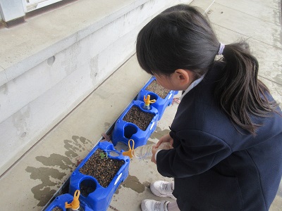 IMG_3590 IMG_3590