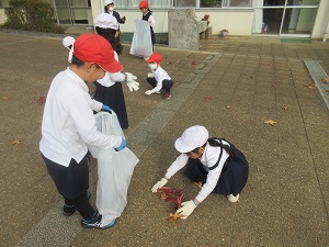 IMG_3594 IMG_3594
