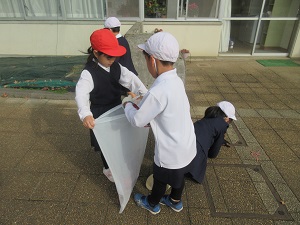 IMG_3595 IMG_3595