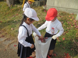 IMG_3597 IMG_3597
