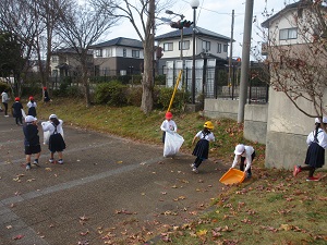 IMG_3601 IMG_3601