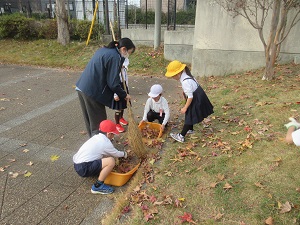 IMG_3602 IMG_3602