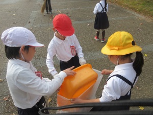 IMG_3603 IMG_3603
