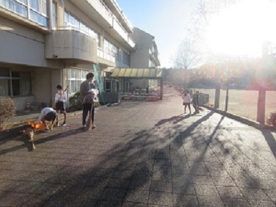 IMG_3612 IMG_3612